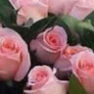 Meet your Posher, -annette-